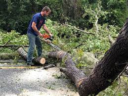 Seasonal Cleanup (Spring/Fall) in Georgetown, PA